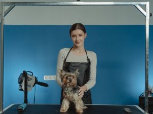 Clinica Animal Care